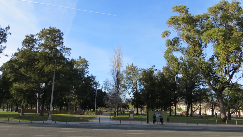 jardim do campo grande 2016